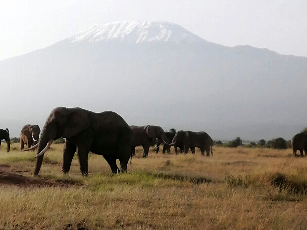 Kili